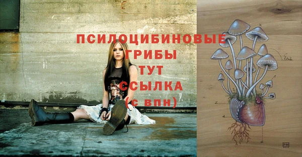 кокаин колумбия Алексин