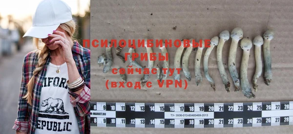 apvp Абдулино