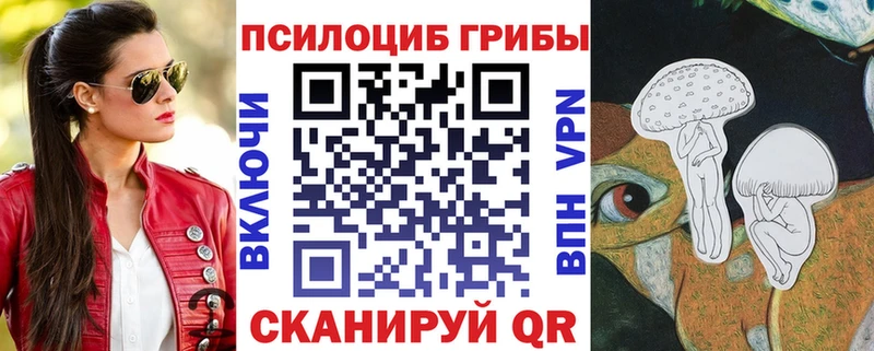 купить наркоту  Змеиногорск  Псилоцибиновые грибы Psilocybine cubensis 