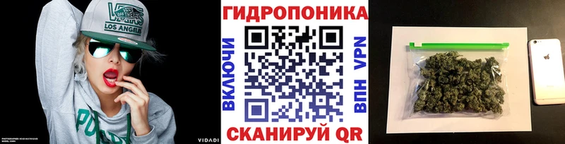 Шишки марихуана LSD WEED  наркотики  Змеиногорск 